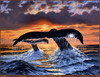 Panthera 0270 Derk Hansen Deep Water Nomads