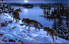 Panthera 0282 Jerry Gadamus Moon Shadows