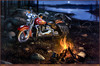 Panthera 0291 Charles Freitag Moonlight Reflections