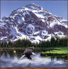 Panthera 0294 John Van Straalen  Purple Mountain  Majesty