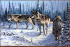 Panthera 0314 Robert Clement Kray Wilderness Spirits