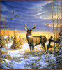 Panthera 0321 Sam Timm Country Afternoon Whitetail