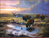 Panthera 0324 J. W. Thrasher Tallgrass Prairie