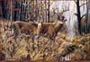 Panthera 0326 Michael Glenn Monroe Whitetails at Crooked Creek