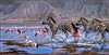 Panthera 0328 Julia Rogers Splash of Pink