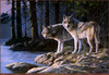 Panthera 0331 Persis Clayton Weirs Shades of Gray