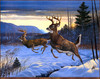 Panthera 0338 Robert Clement Kray Twin Trophies