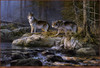 Panthera 0341 Don Kloetzke Across the River