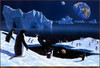 Panthera 0363 Schim Schimmel The Magic Place