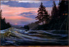 Panthera 0371 Kevin T. Daniel Twilight Calm