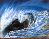 Panthera 0372 Kim McElroy Eye of the Storm