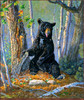 Panthera 0379 Terry Doughty The Honey Tree