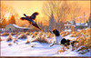 Panthera 0382 Frank Mittelstadt Getting Up
