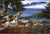 Panthera 0385 Darrell Davis Wolf Haven
