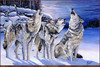 Panthera 0391 Jeff Renner Breaking the Silence