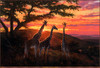 Panthera 0419 Michael Sieve Sand River Sunrise