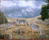 Panthera 0428 Charles Frace Wayfarers