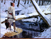 Panthera 0449 David Wright Shawnee Hunter