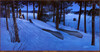 Panthera 0451 Eric Bjorlin Change of Seasons
