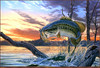 Panthera 0496 Al Agnew Strike King