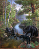 Panthera 0497 James Meger Bear Pause