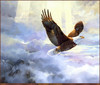 Panthera 0500 Mario F. Fernandez Rise Above the Storm