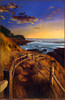 Panthera 0504 Brian Kuether The Pathway
