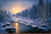 Panthera 0536 James Meger Solstice