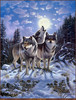 Panthera 0541 Derk Hansen Midnight Watcher