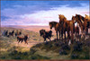 Panthera 0550 Jim Rey Double Dare