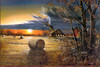 Panthera 0559 Jim Hansel Autumn Harvest
