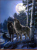 Panthera 0560 James Meger Moonlight Sonata