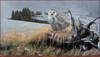Panthera 0561 Rod Frederick Tundra Watch
