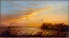 Panthera 0564 Lynn R. Kaatz Sunset Point