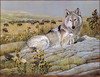 Panthera 0568 Guy Coheleach Soul Companion
