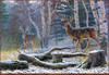 Panthera 0573 Al Agnew Confrontation