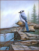 Panthera 0578 Donald Moore Weathered Perch