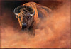 Panthera 0581 Edward Aldrich Causing a Stir