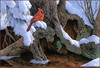 Panthera 0595 Jerry Gadamus The Witness Tree