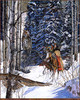 Panthera 0598 Julie Kramer Cole Keepers of the Secret