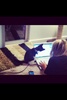 Kitty