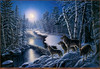 Panthera 0621 James Meger Silent Shadows