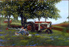 Panthera 0622 Dave Barnhouse Stories of a Lifetime