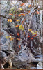 Panthera 0626 Robert R. Copple To Be Free Again