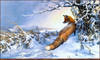 Panthera 0637 Don Kloetzke Storms Tail End