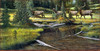 Panthera 0639 Ron Van Gilder Clear Creek Promenade