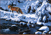 Panthera 0647 Daniel Smith Creekside Passage