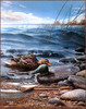Panthera 0661 Kevin Daniel The Lost Decoy II