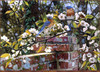 Panthera 0665 Jay Kemp  Backyard Blues
