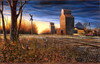 Panthera 0673 Jim Hansel The Harvest Season
